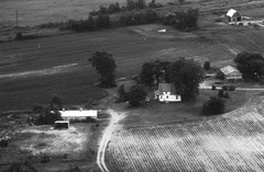 006-nlu-22