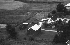 006-nlu-26