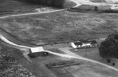 006-nlu-29