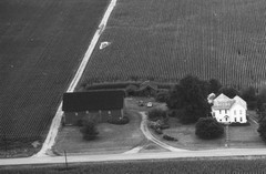 006-nlu-31