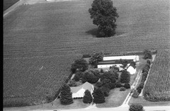 007-nlu-08