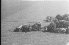 007-nlu-34
