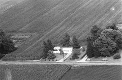 008-nlu-08