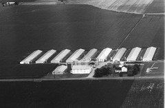 008-nlu-13