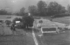 008-nlu-19