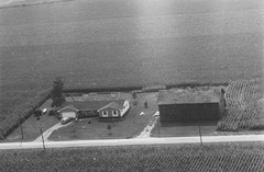 008-nlu-21