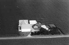 008-nlu-26