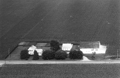 008-nlu-27