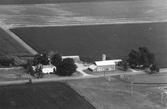 008-nlu-28