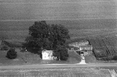 008-nlu-31