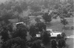 008-nlu-36
