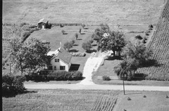 003-flu-06