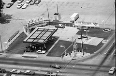 009-tlu-31