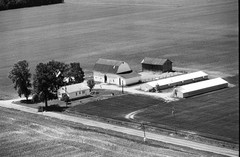 016-tlu-14