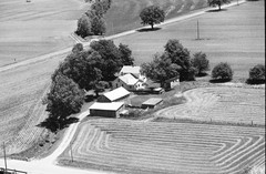 016-tlu-28