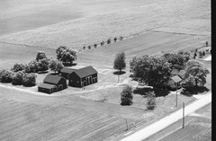 017-tlu-17