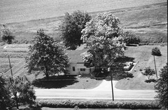 017-tlu-36