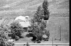018-tlu-19