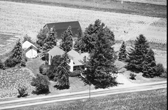 018-tlu-36