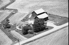 019-tlu-17