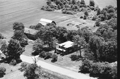 019-tlu-31
