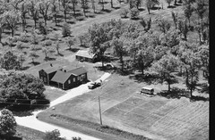 019-tlu-37