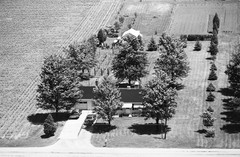 020-tlu-13
