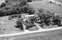 020-tlu-19