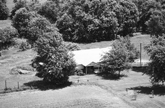 020-tlu-20
