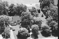 021-tlu-20