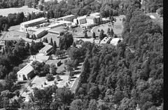 024-tlu-31