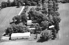 025-tlu-24