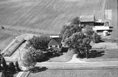 025-tlu-33