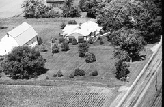 025-tlu-36