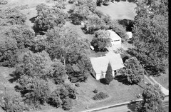 028-tlu-36