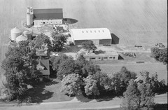031-tlu-04