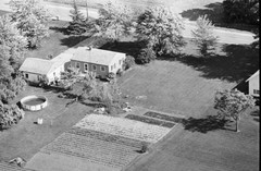 031-tlu-19