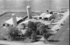 031-tlu-20