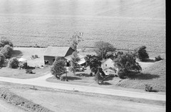 031-tlu-24