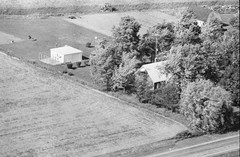 031-tlu-31