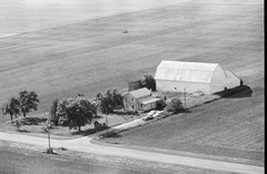 031-tlu-36