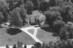 035-tlu-19