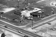 036-tlu-19