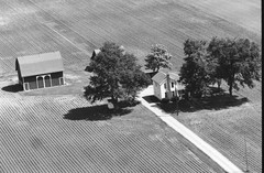 037-tlu-36