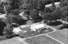 038-tlu-01