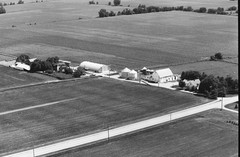 038-tlu-19