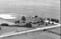 040-tlu-31