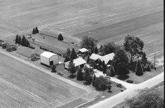 040-tlu-34