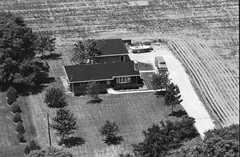 041-tlu-36