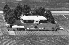 043-tlu-33